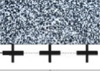 Kalibriertafel Subaru Typ 2S | 8 900 382 608 Kalibriertafel Subaru Typ 2S | 8 900 382 608